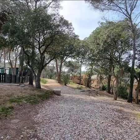 Chez K&d Avec Piscine St Raphael